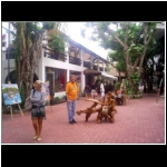 pdc_091_banyon_mall.jpg