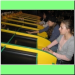 0071_games_rollerball_horseraces.jpg