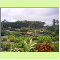 108_hana_road_south_ruins.jpg