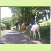 117_hana_road_south_horseback.jpg