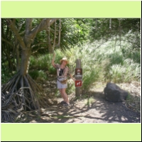 119_hana_road_south_wailala_trail.jpg