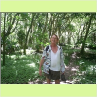 122_hana_road_south_wailala_trail_ruins.jpg