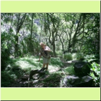 123_hana_road_south_wailala_trail_ruins.jpg