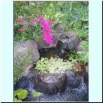 007_Marriott_pond.jpg