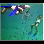 cozumel_483b_fish_pic.jpg