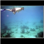 cozumel_483d_rick.jpg