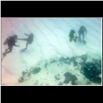 cozumel_483f_divers.jpg