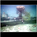 cozumel_483m_fish_ship.jpg