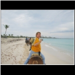 horseback_130_r_camera.jpg