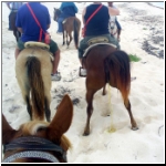 horseback_133_horsepiss.jpg