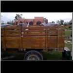 horseback_138_mex_limo.jpg