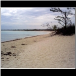 horseback_146_beach.jpg