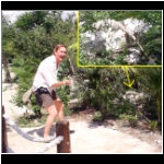 xel_ha_169_iquana_rick.jpg