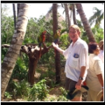 xel_ha_179_parrots.jpg
