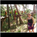 xel_ha_180_parrots.jpg