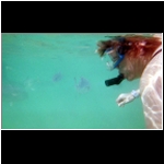 xel_ha_194_snorkel_Georgi_fish2.jpg