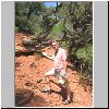 Sedona_1_AP_Vortex_Rick_Juniper_75.jpg