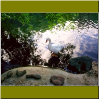 07_sedonacabin_goose_pond.jpg