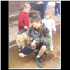 Zoo_2006_677_Goat_Matt.jpg